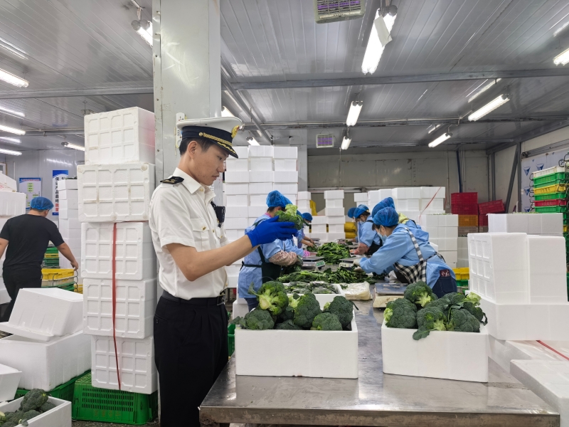 2026062911461174076.jpg